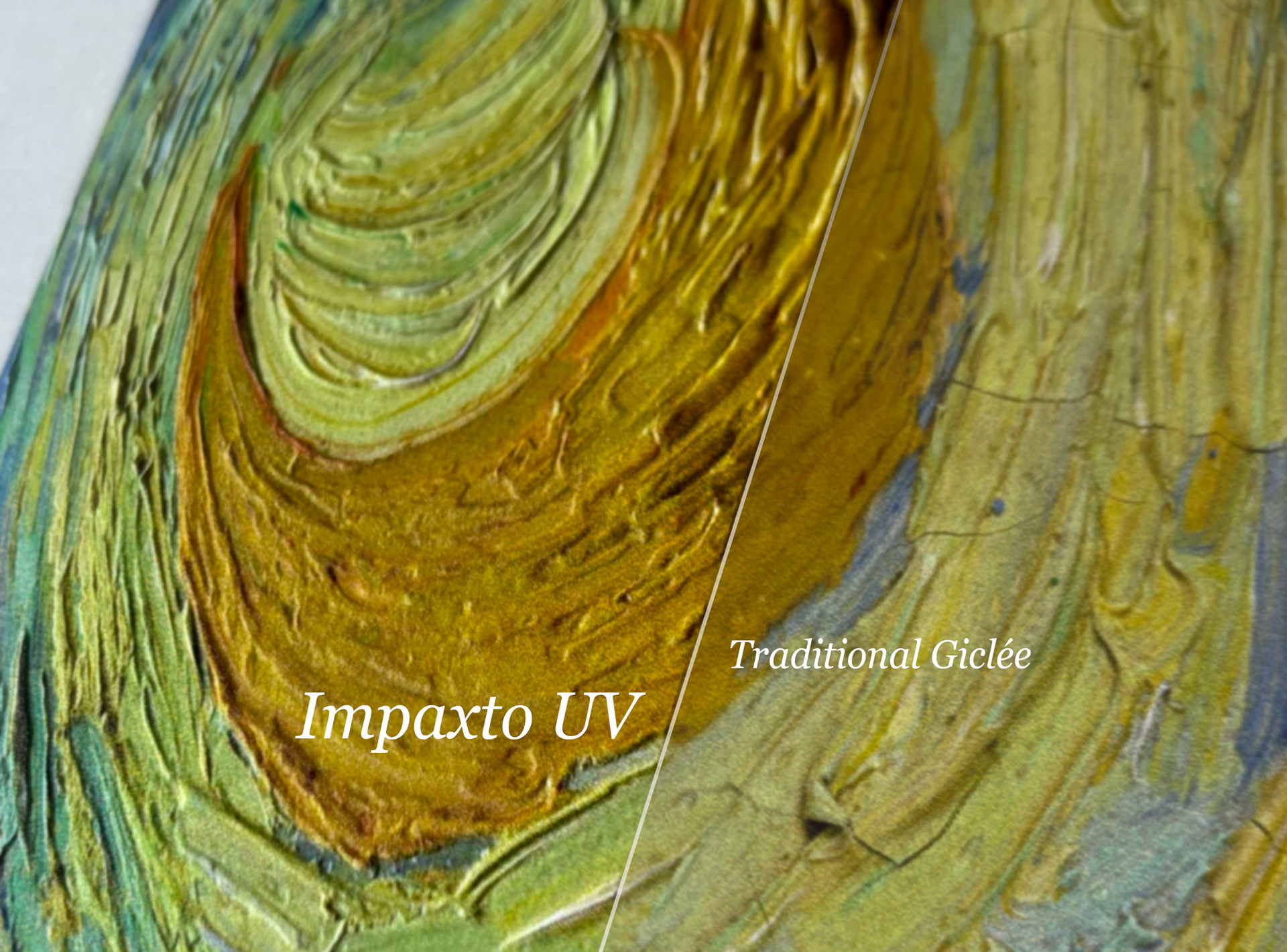 Close view of a textured fine-art edition showing raised brushwork